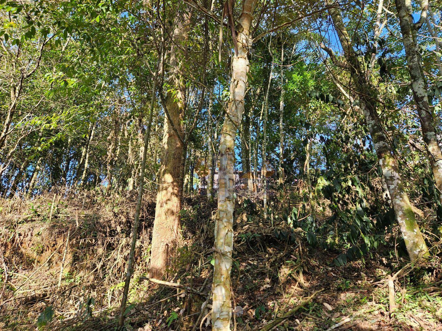 Terreno à venda, 1100M2 - Foto 4