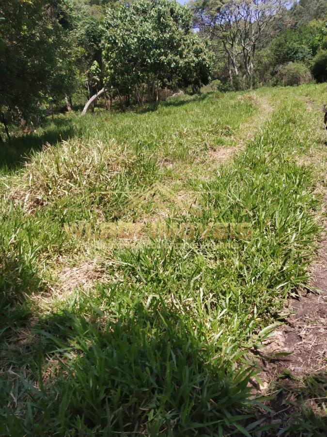 Fazenda à venda, 41000m² - Foto 10