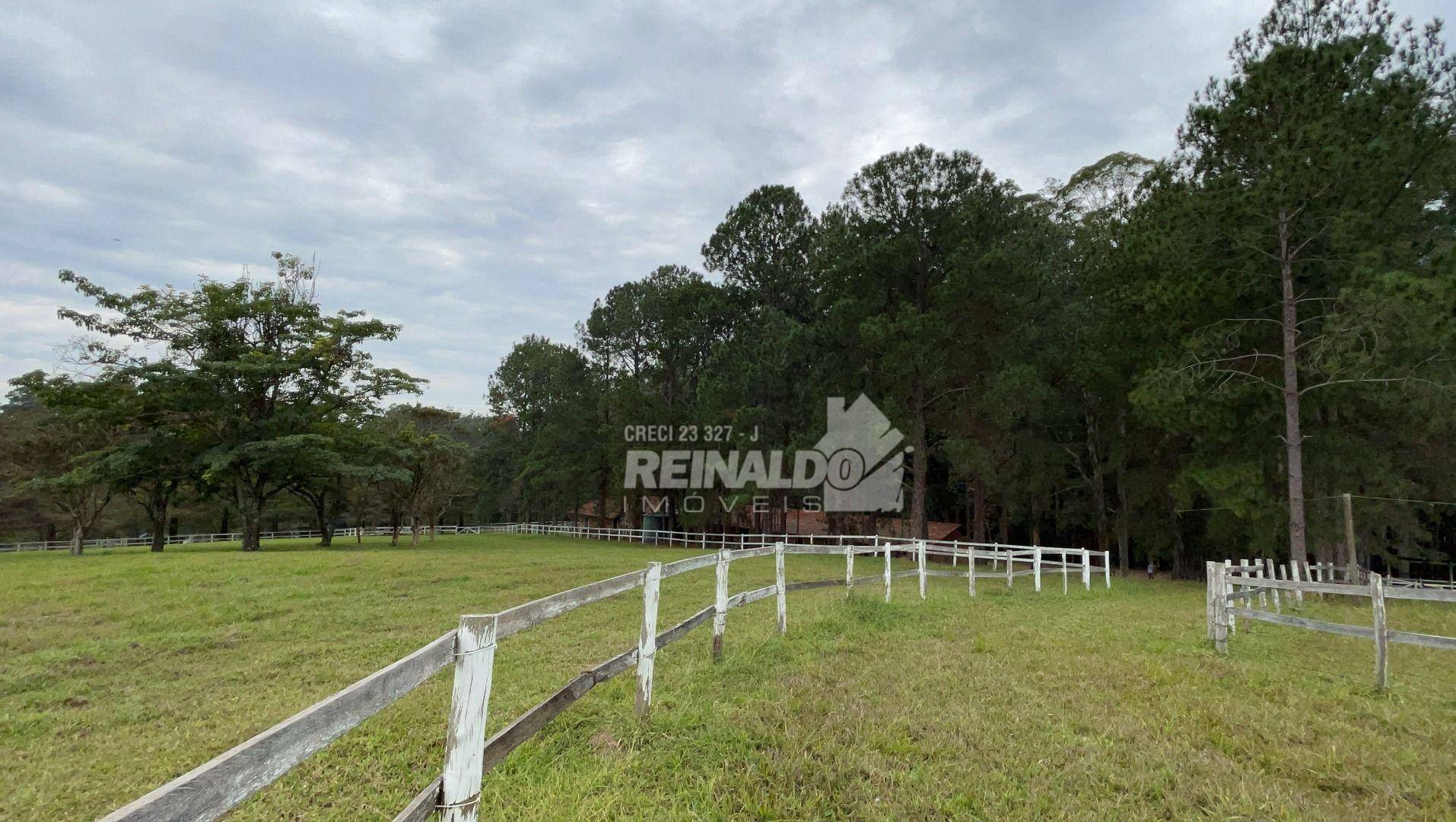 Fazenda à venda com 21 quartos, 2000m² - Foto 35