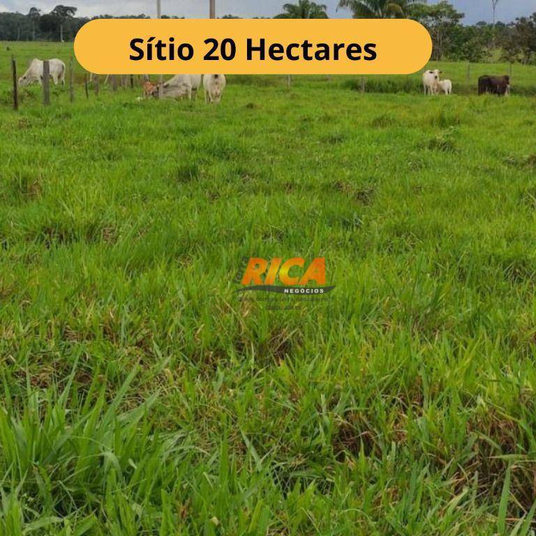 Sítio, 20 hectares - Foto 1