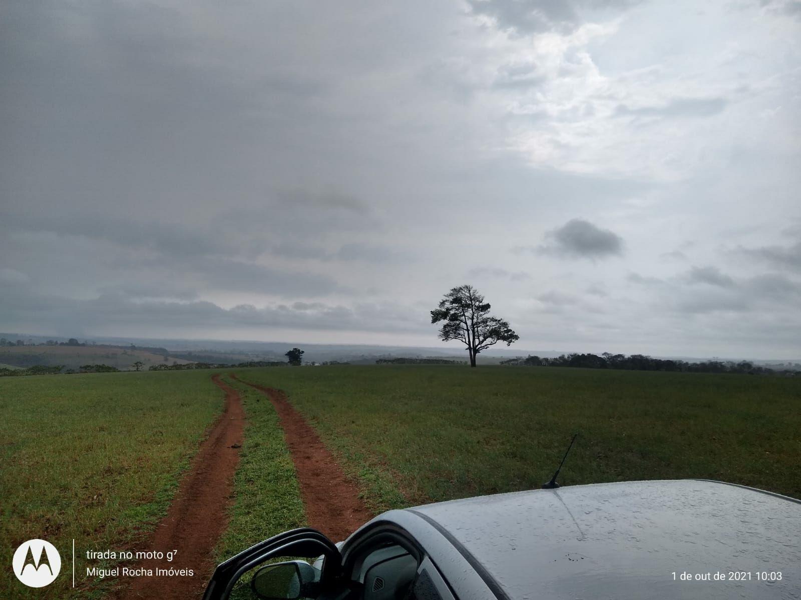 Fazenda à venda com 8 quartos, 3146000m² - Foto 18