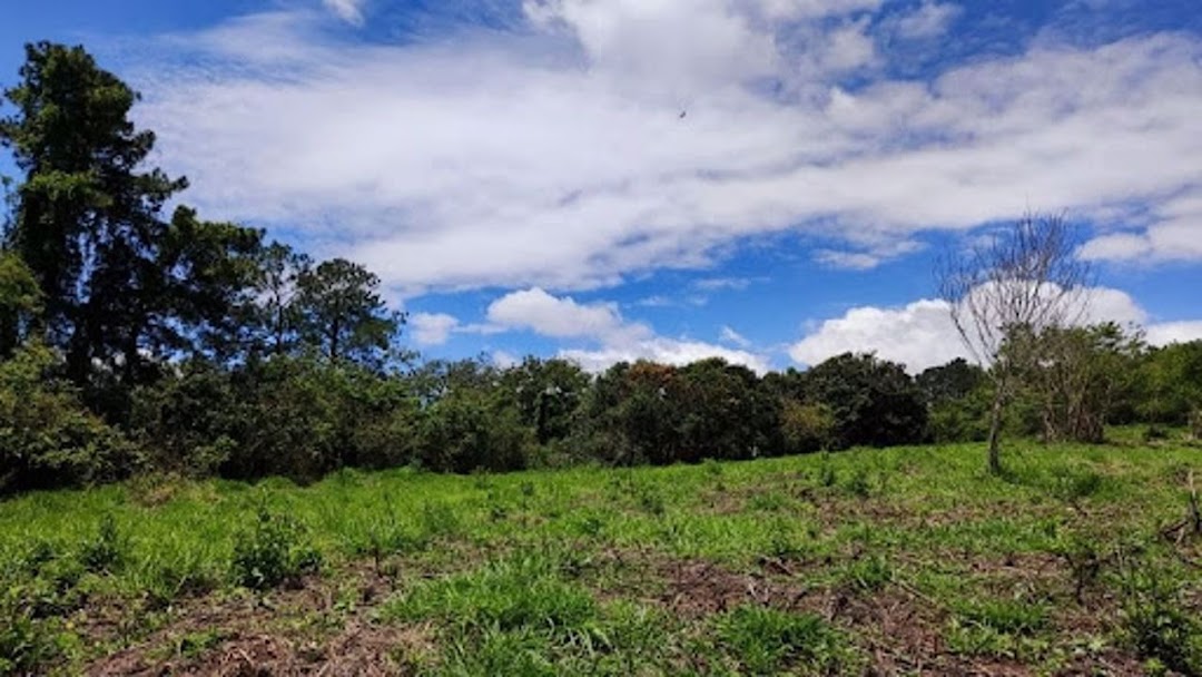 Terreno à venda, 2600M2 - Foto 7