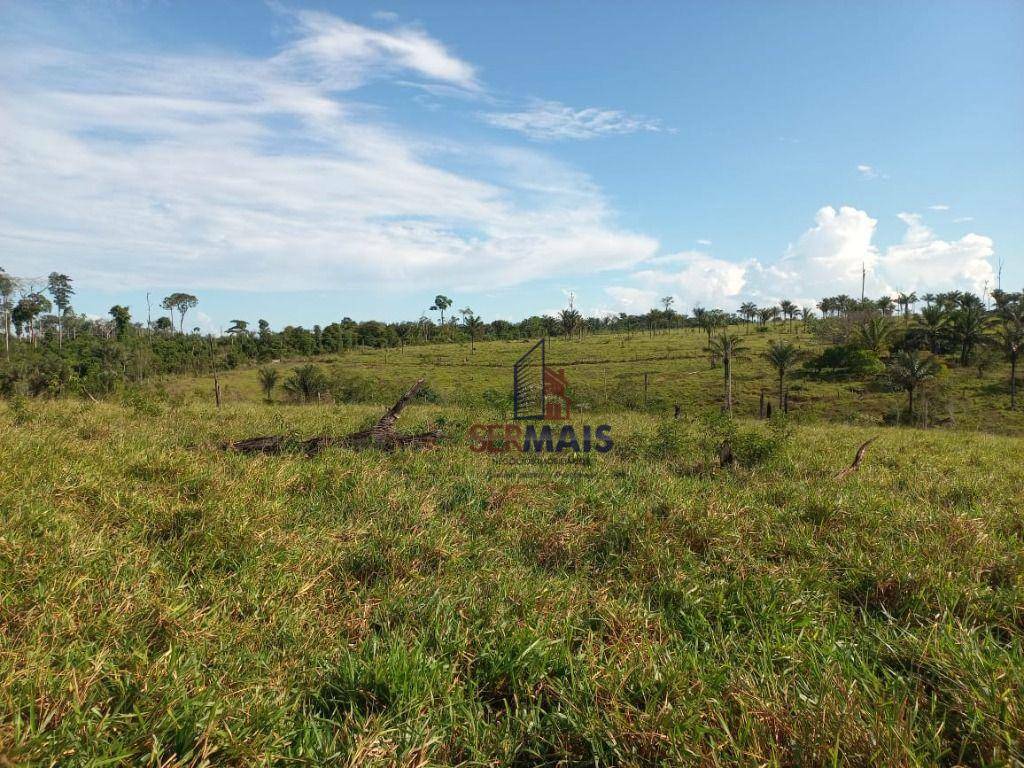 Fazenda à venda com 4 quartos, 6001600M2 - Foto 5