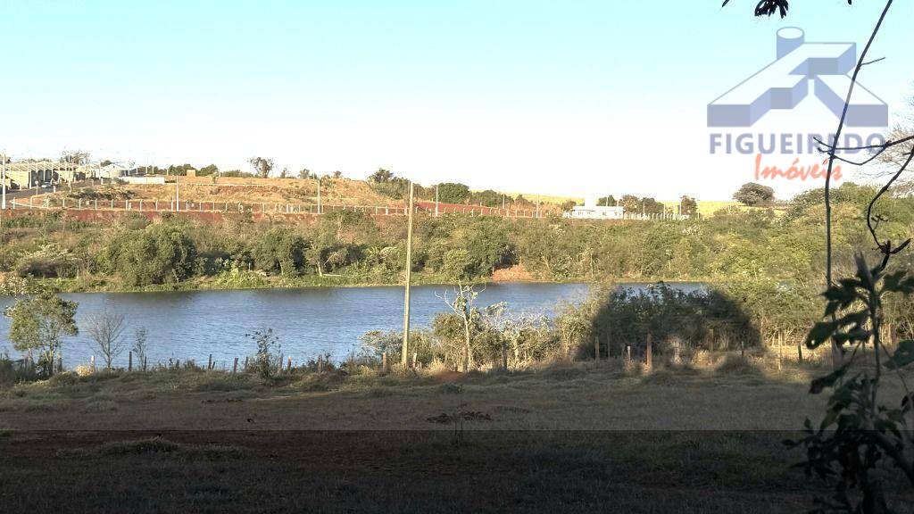 Sítio, 4 hectares - Foto 11