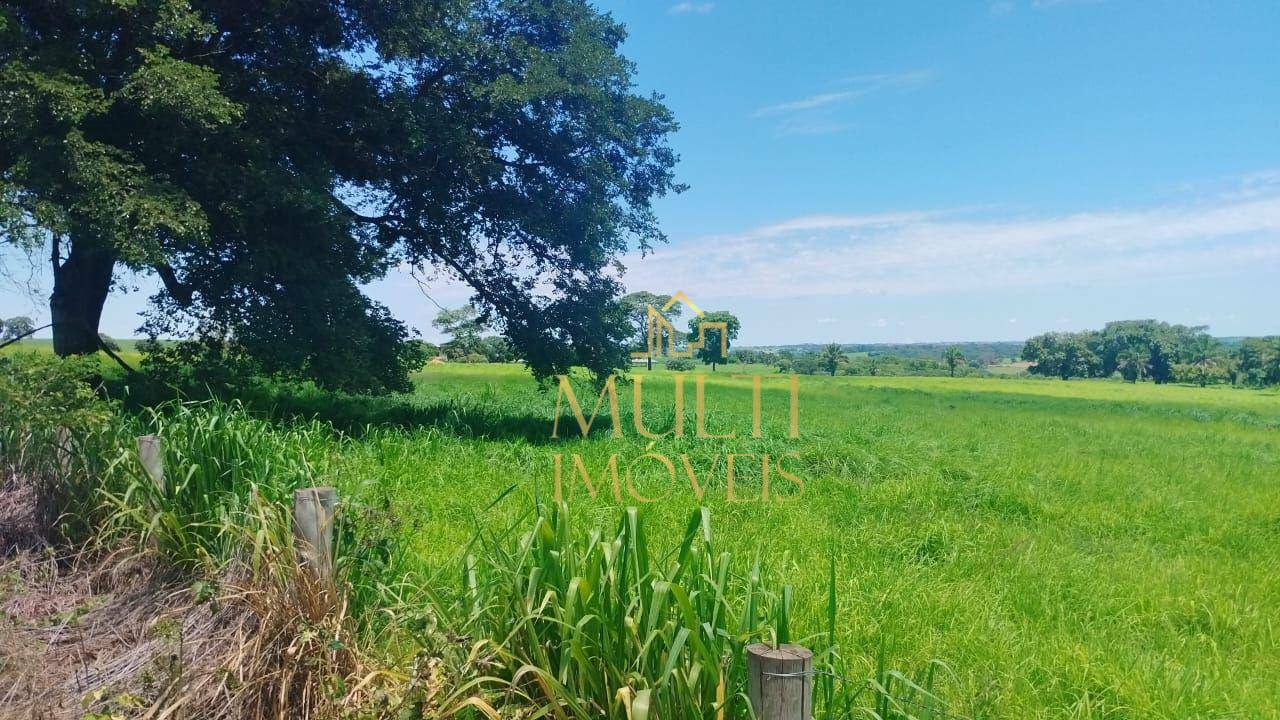 Fazenda à venda com 3 quartos, 1379400M2 - Foto 4