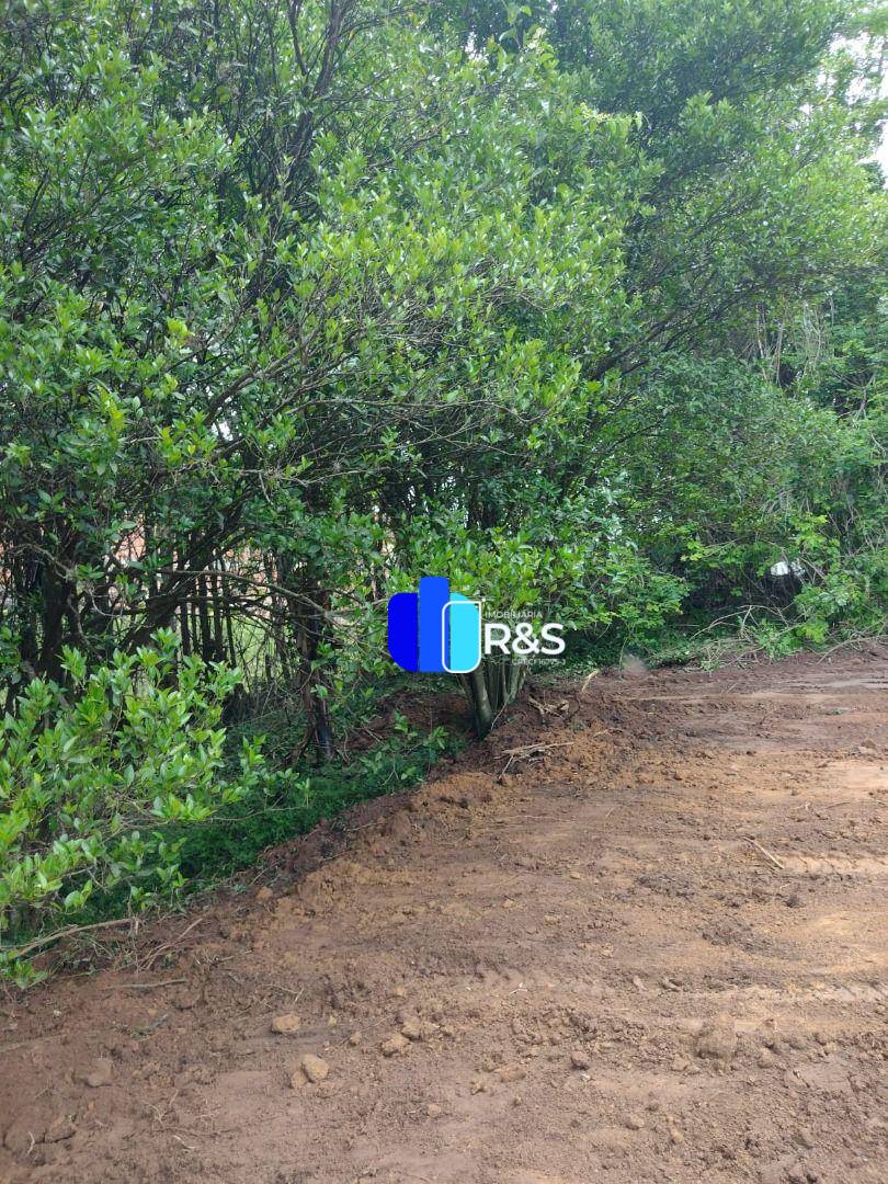 Terreno, 1195 m² - Foto 3