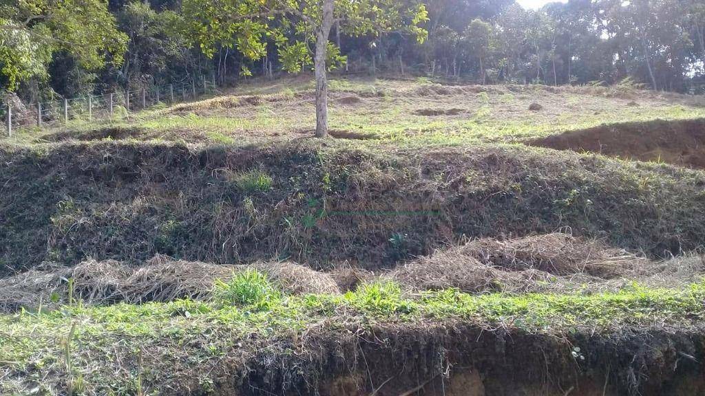 Terreno à venda, 1235M2 - Foto 5