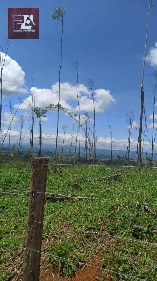 Terreno à venda, 24200M2 - Foto 1