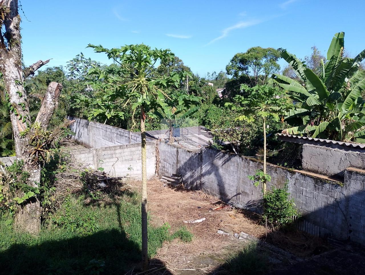 Fazenda à venda com 3 quartos, 160m² - Foto 6