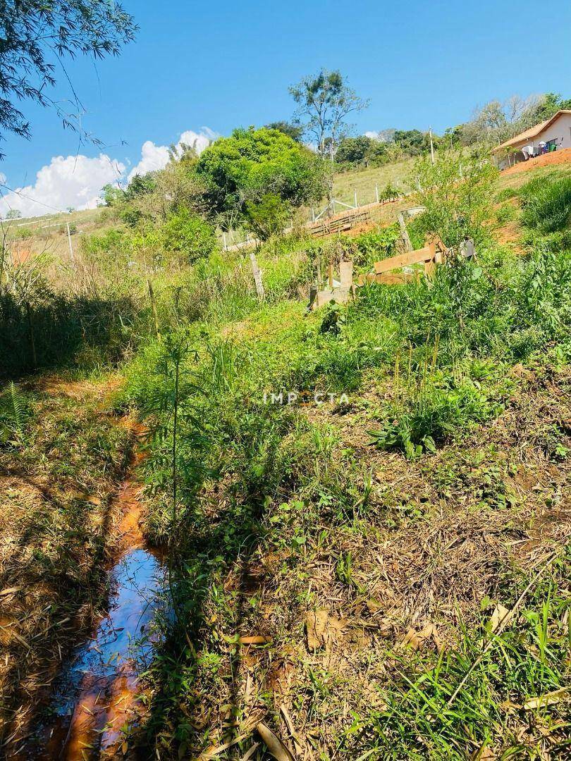 Chácara à venda com 3 quartos, 3000M2 - Foto 12