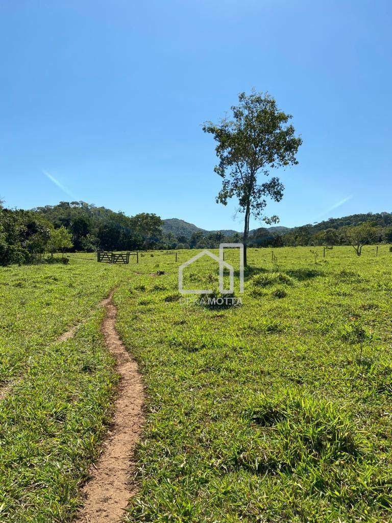 Fazenda à venda com 3 quartos, 21217700000M2 - Foto 2