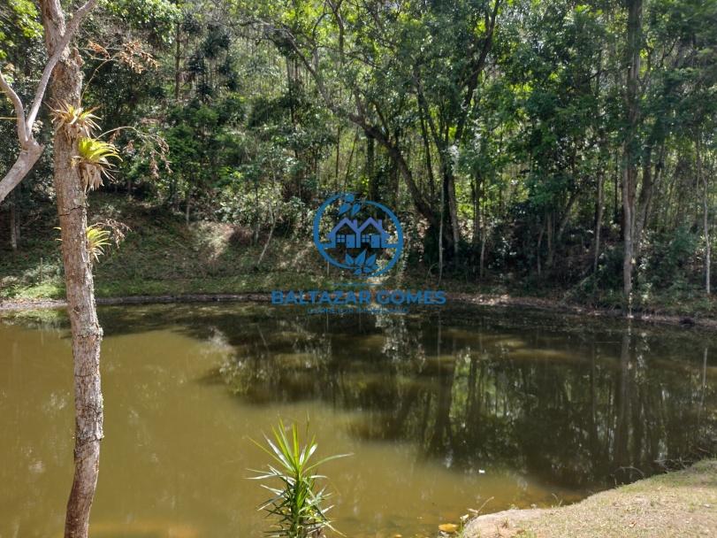 Fazenda à venda com 3 quartos, 58000m² - Foto 22