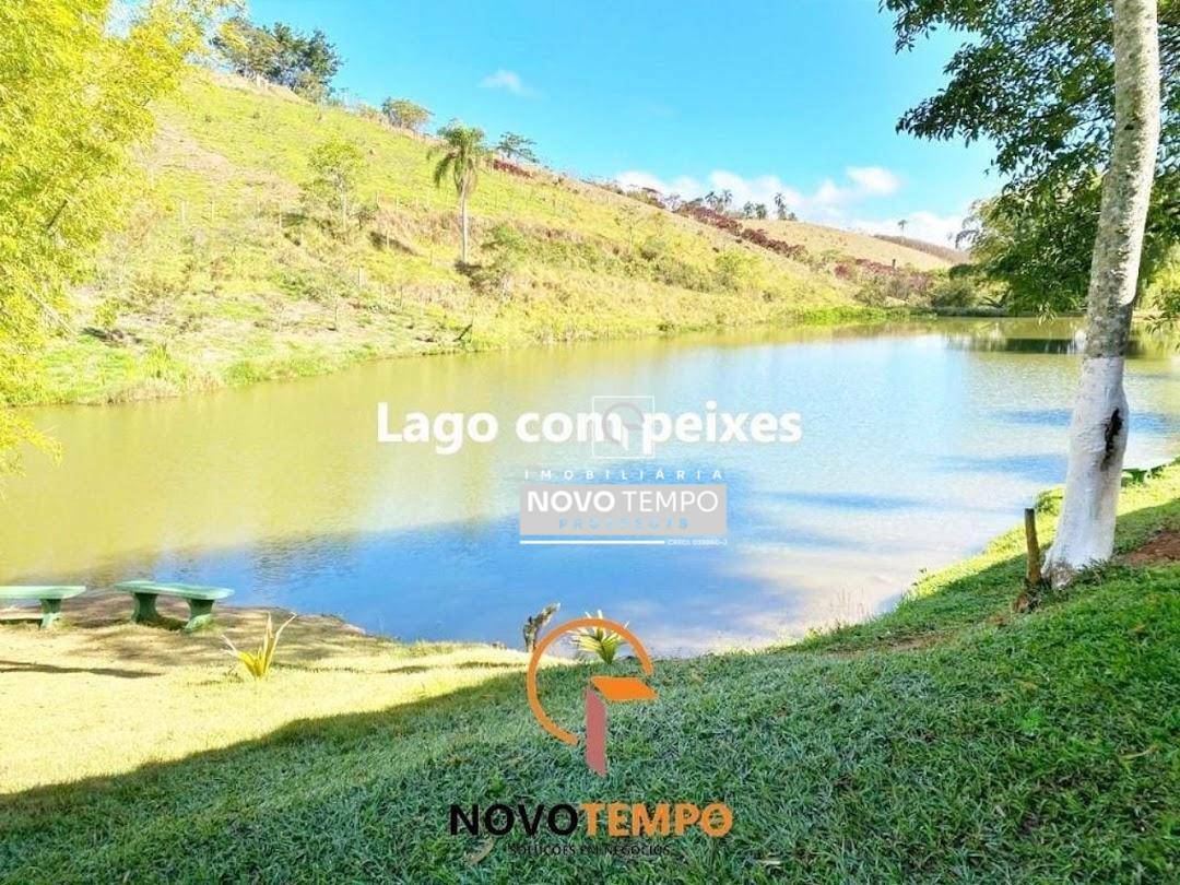 Sítio à venda com 5 quartos, 1700m² - Foto 15