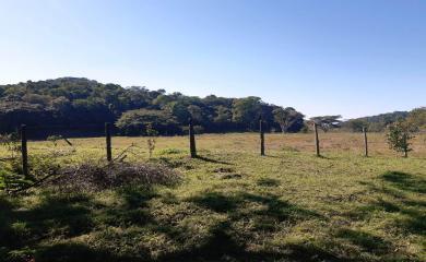 Fazenda à venda com 2 quartos, 270000m² - Foto 8