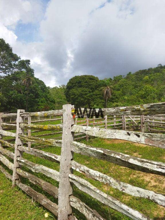 Fazenda-Sítio-Chácara, 697 hectares - Foto 3