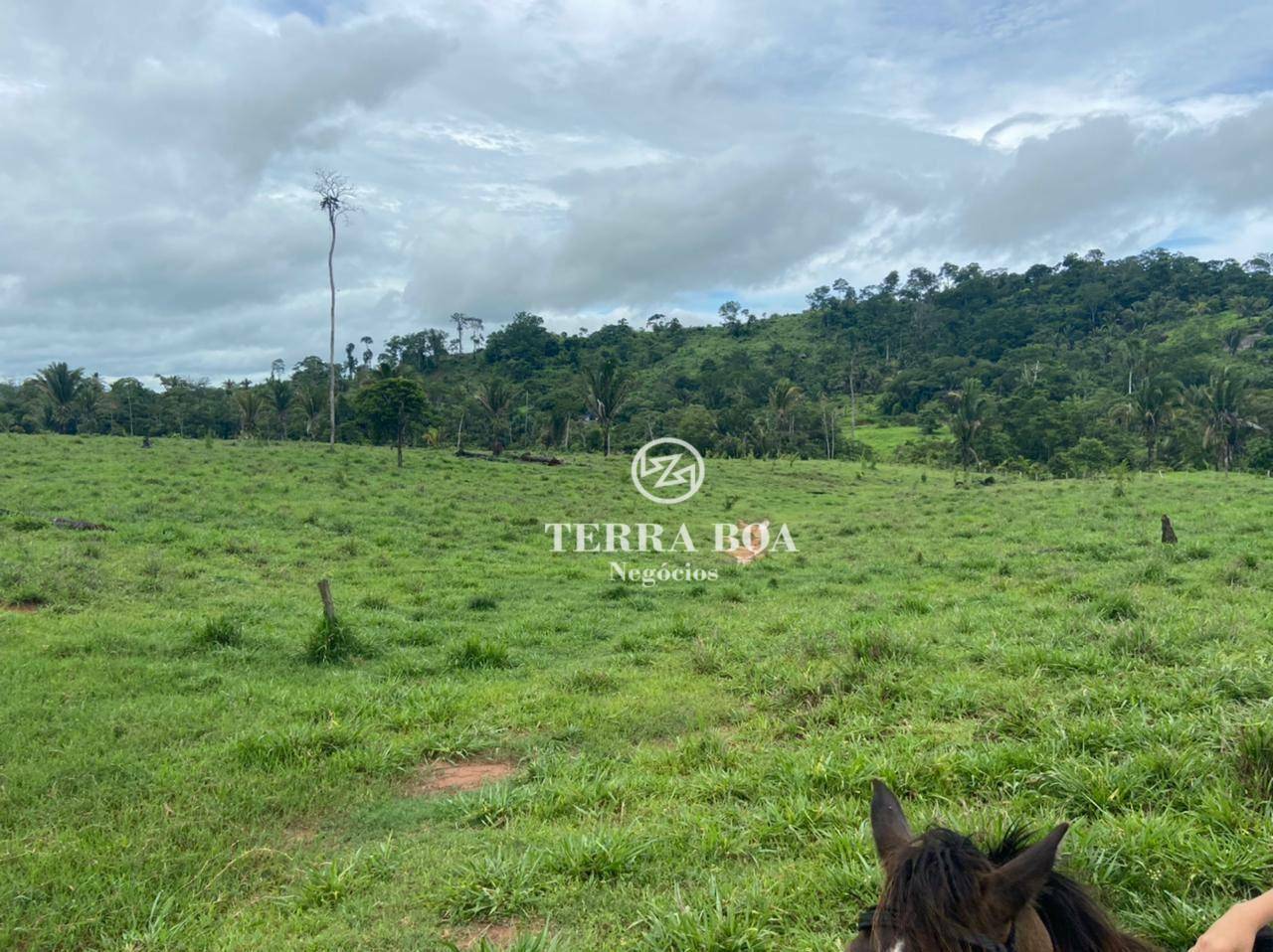 Fazenda à venda, 1452000M2 - Foto 8