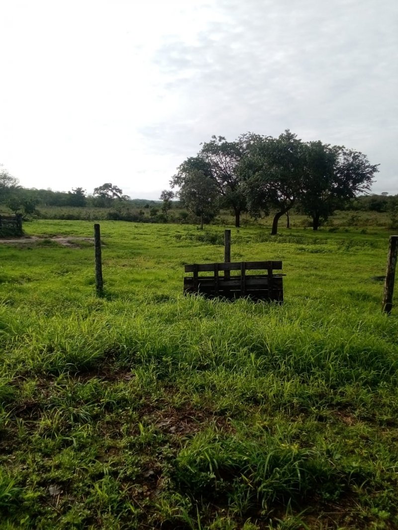 Fazenda-Sítio-Chácara, 685 hectares - Foto 3