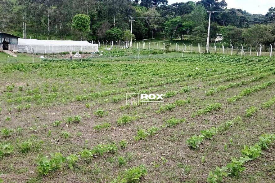 Chácara à venda com 6 quartos, 350m² - Foto 25