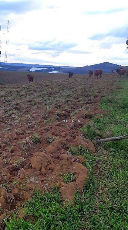 Fazenda à venda, 677600M2 - Foto 5