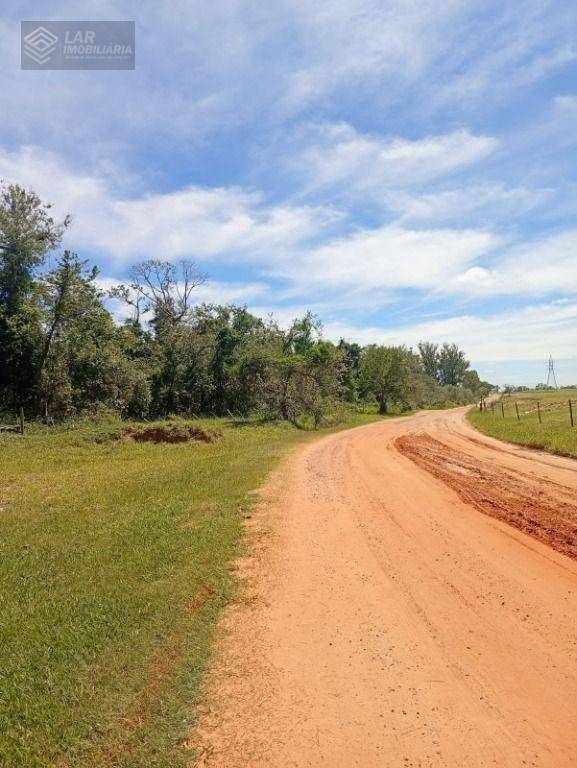 Terreno, 7 hectares - Foto 2