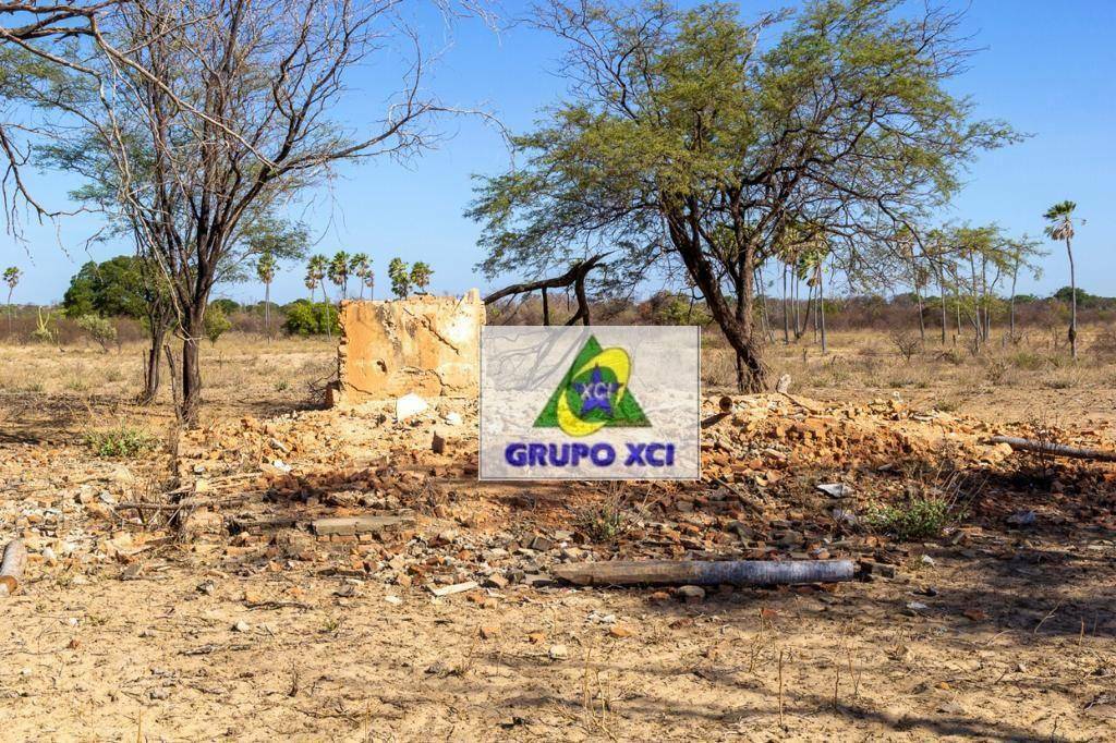 Fazenda à venda, 12000000M2 - Foto 21