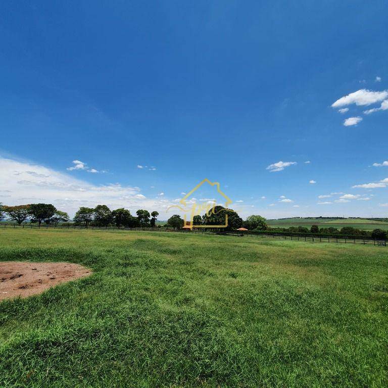 Haras e Área Rural Padrão à venda com 4 quartos, 1000m² - Foto 27