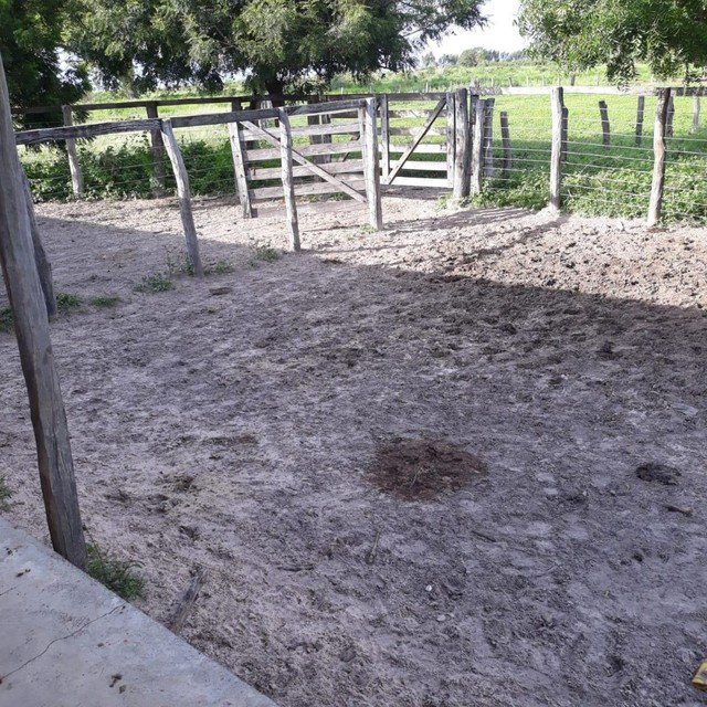 Fazenda à venda, 310000m² - Foto 8