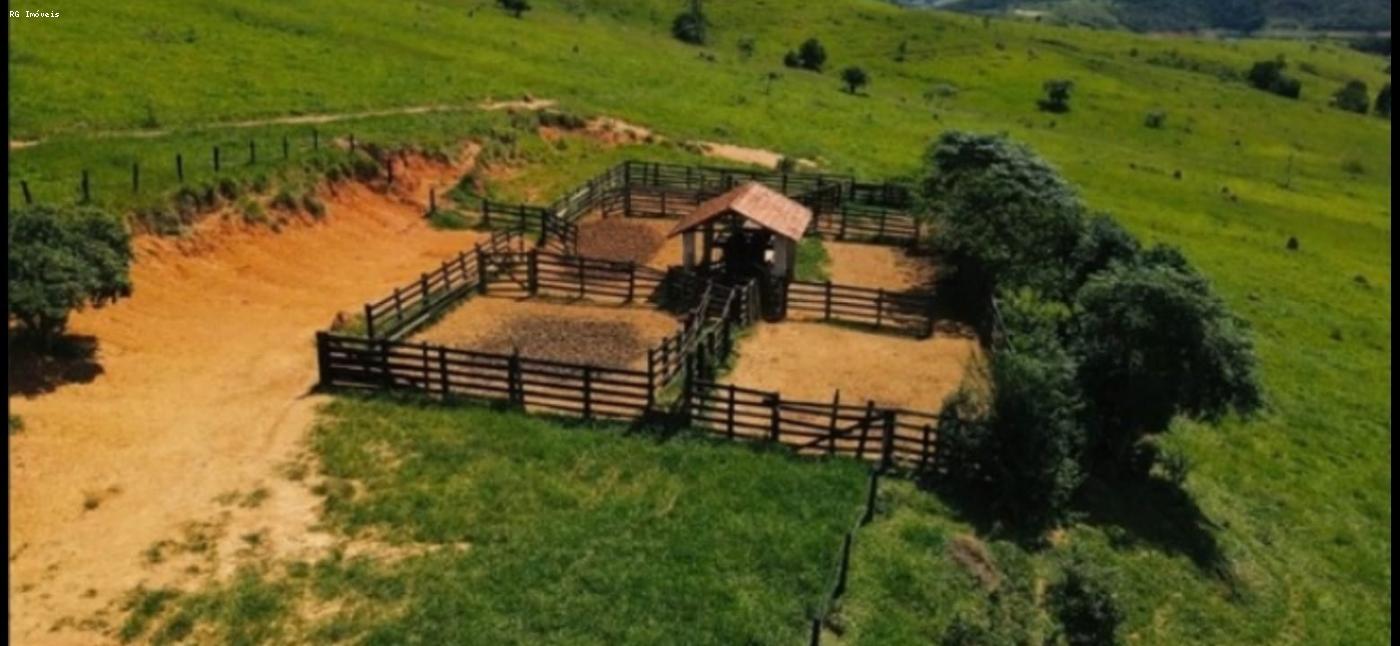 Fazenda à venda com 4 quartos, 2980000m² - Foto 9