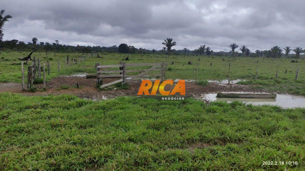 Fazenda à venda, 1790000M2 - Foto 4