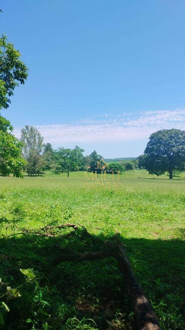 Fazenda à venda com 3 quartos, 1379400M2 - Foto 2