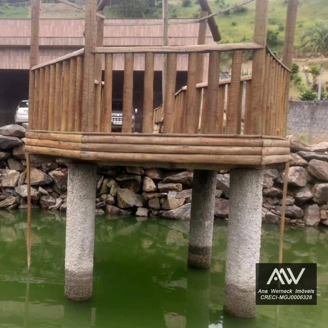 Chácara à venda com 5 quartos, 9000M2 - Foto 3