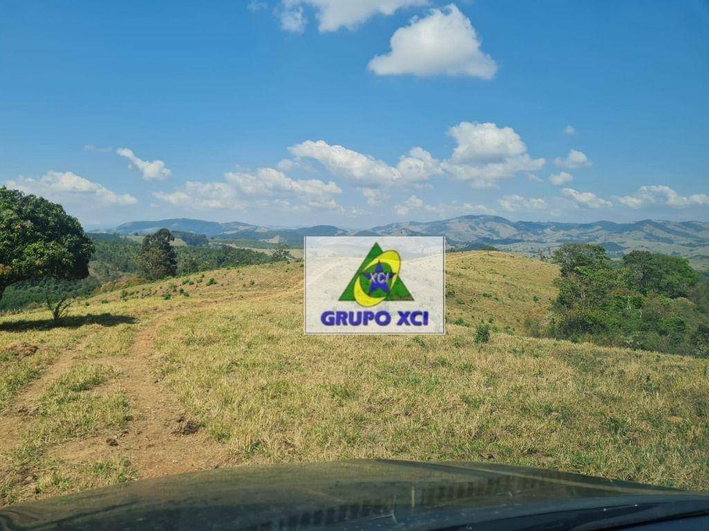 Fazenda-Sítio-Chácara, 250 hectares - Foto 31