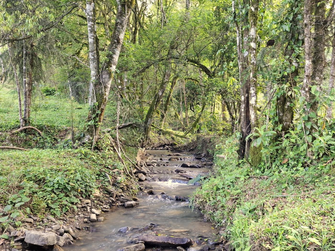 Fazenda à venda com 3 quartos, 90000m² - Foto 42