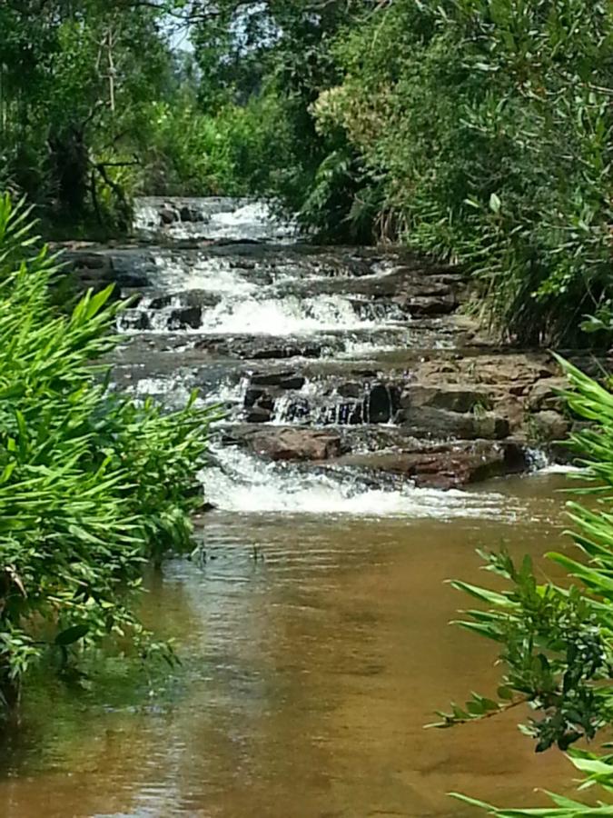 Fazenda à venda, 48400m² - Foto 7