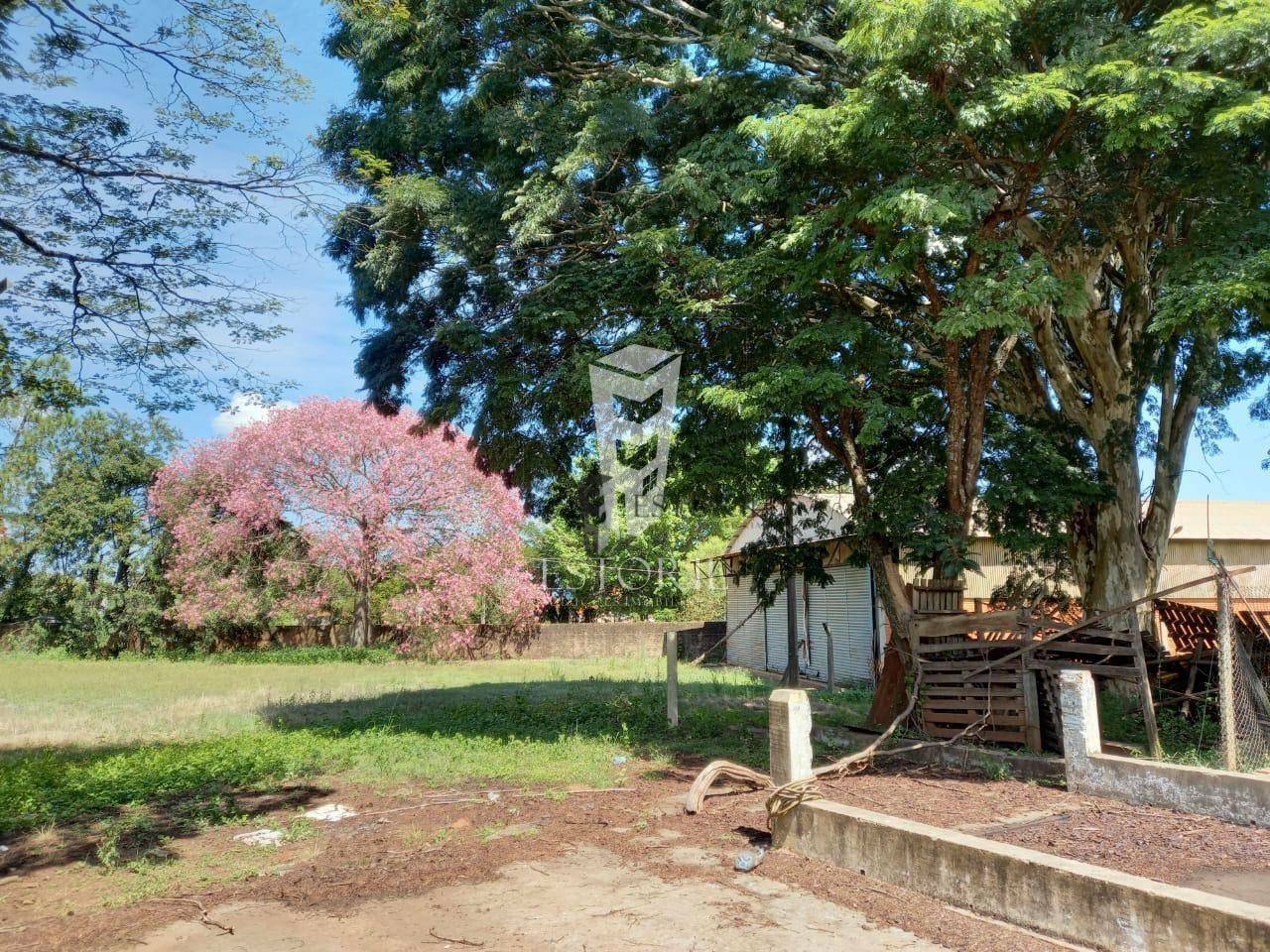 Depósito-Galpão-Armazém à venda, 179000M2 - Foto 15