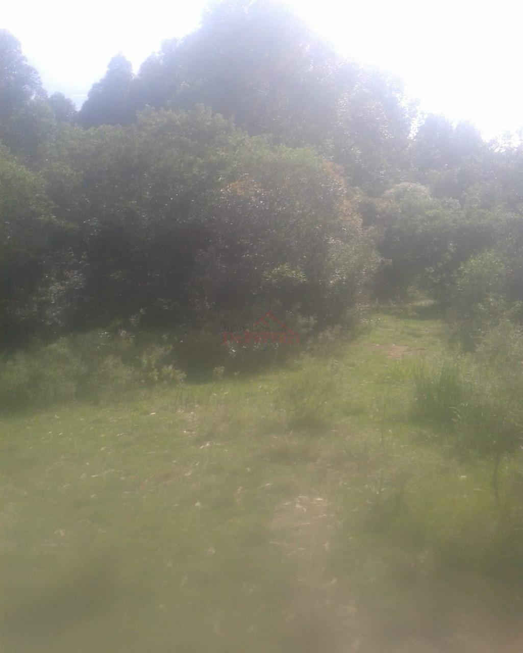 Fazenda-Sítio-Chácara - Foto 6