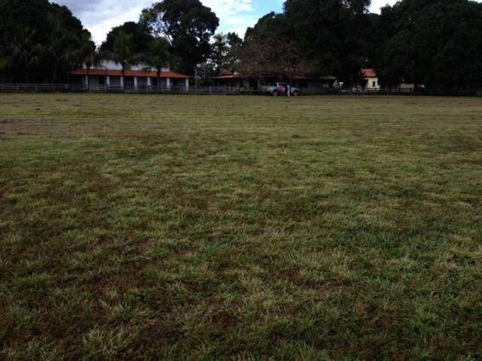 Fazenda à venda, 430000M2 - Foto 27