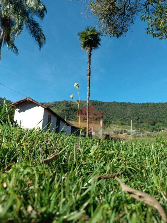 Sítio, 10 hectares - Foto 73