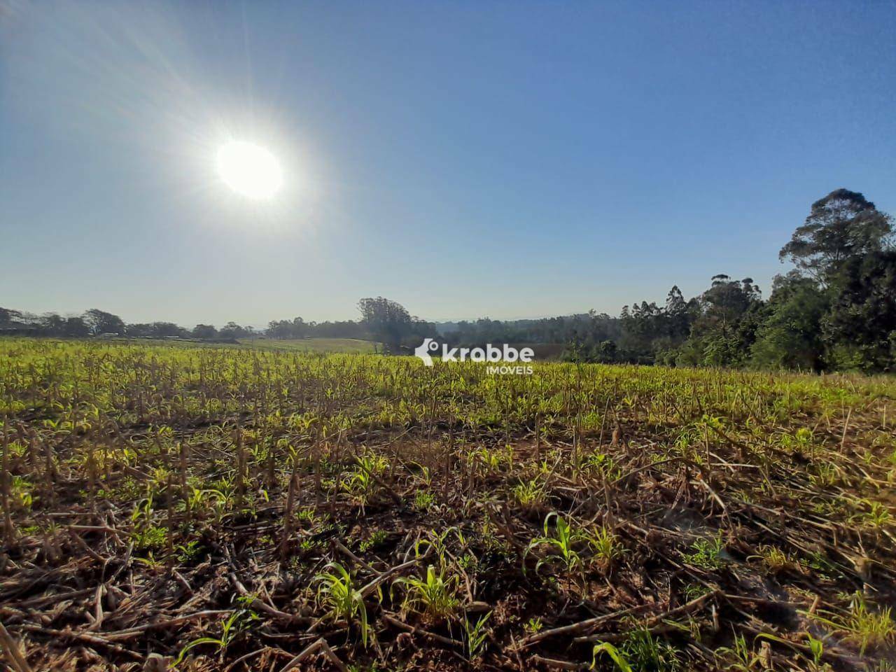 Terreno à venda, 88000M2 - Foto 2