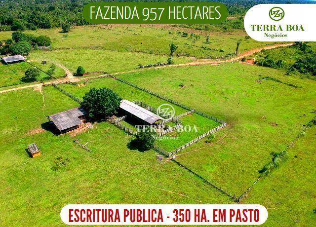 Fazenda-Sítio-Chácara, 957 hectares - Foto 1