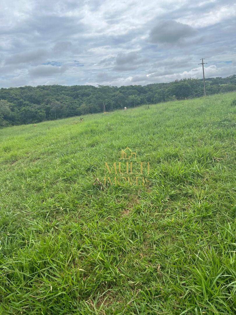 Fazenda à venda com 3 quartos, 10360000M2 - Foto 13