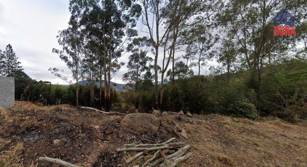 Terreno à venda, 800M2 - Foto 2