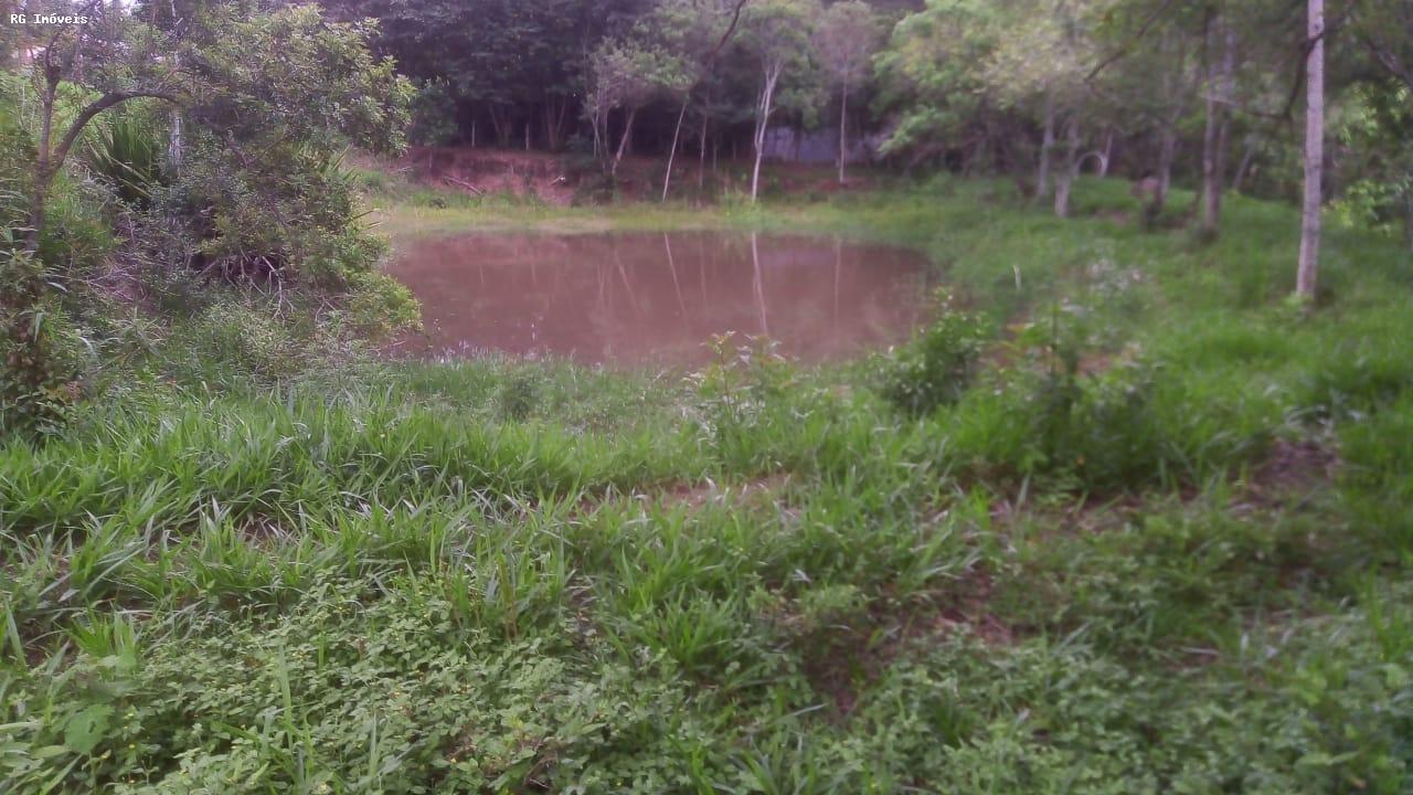 Sítio à venda com 2 quartos, 15000m² - Foto 9