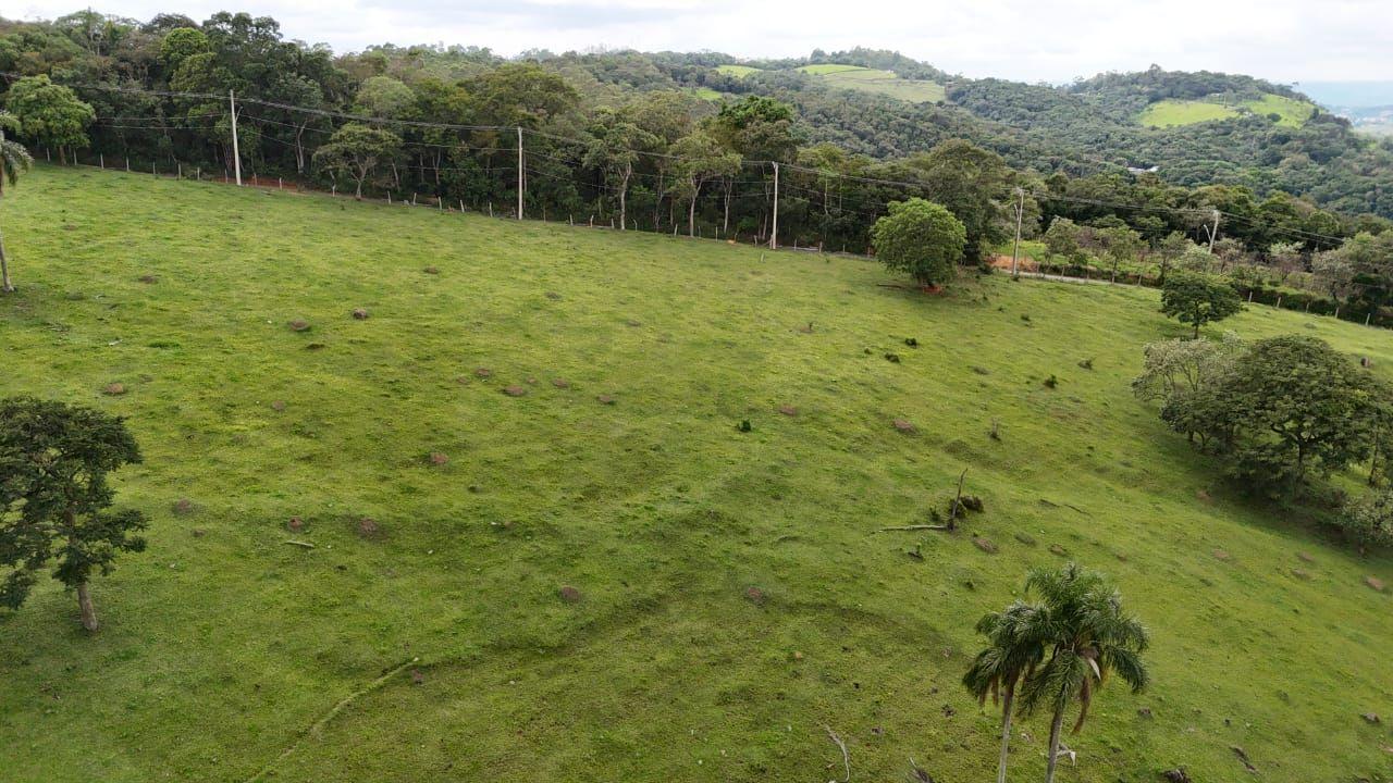 Casa à venda, 96000m² - Foto 3