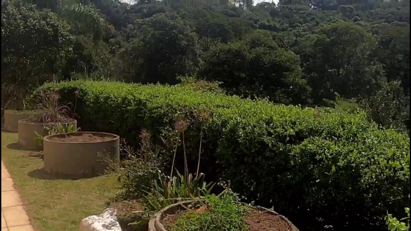 Chácara à venda com 3 quartos, 4500m² - Foto 33