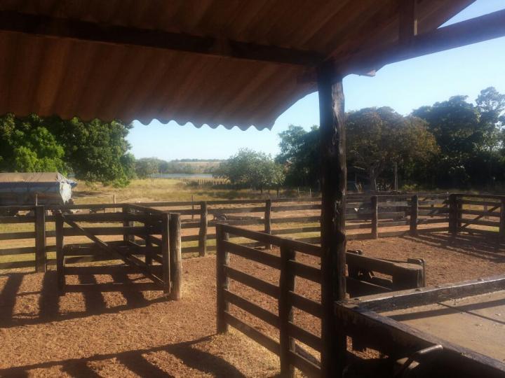 Fazenda à venda com 3 quartos - Foto 16