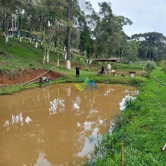 Chácara à venda com 3 quartos, 100m² - Foto 6