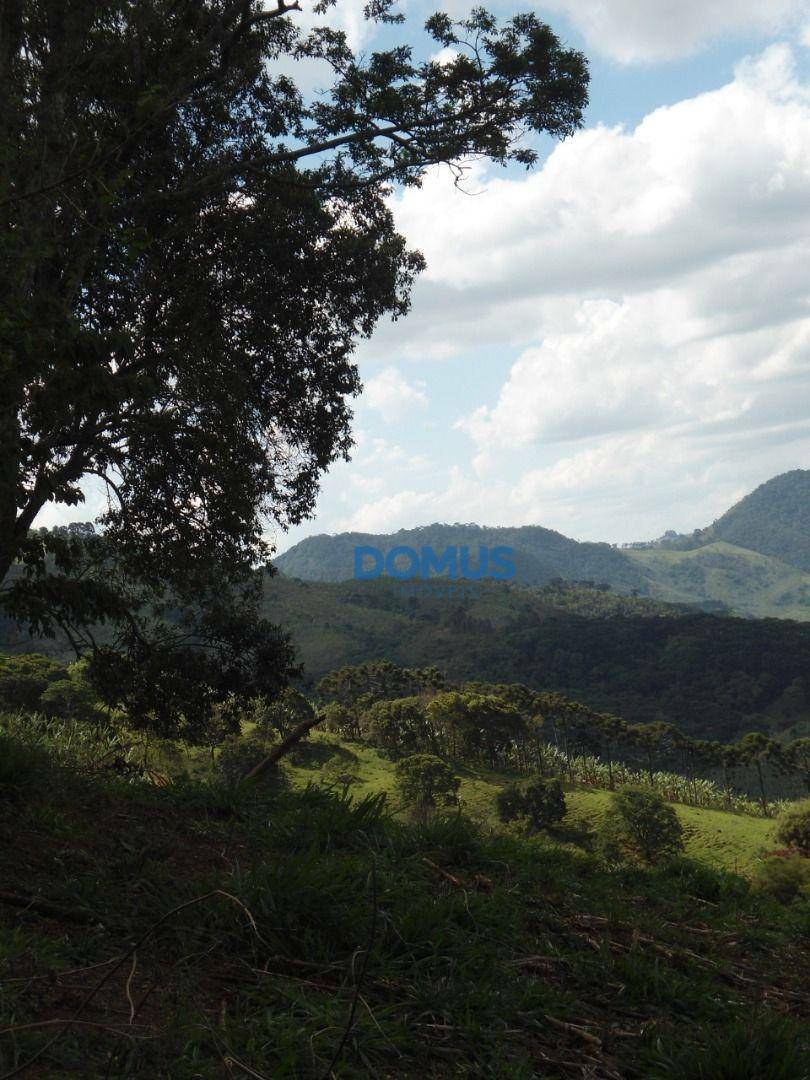 Terreno à venda, 24000M2 - Foto 12