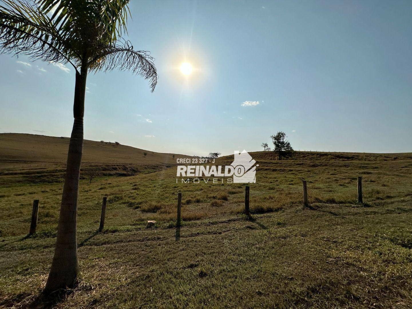 Haras e Área Rural Padrão à venda com 8 quartos, 5000m² - Foto 64