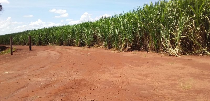 Fazenda, 773 hectares - Foto 1